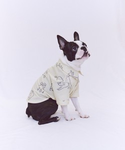 Various dogs Shirts For Dog（たくさんの犬柄のシャツ／ドッグ）
