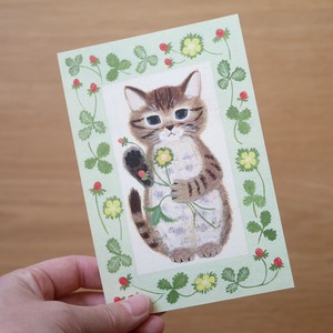 Postcard Kitten