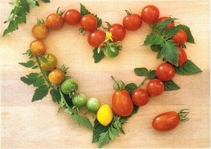 輸入■ポストカード■フランス製ポストカード★Heart of tomatoes