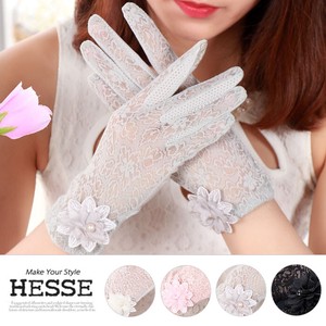 Gloves 4-colors