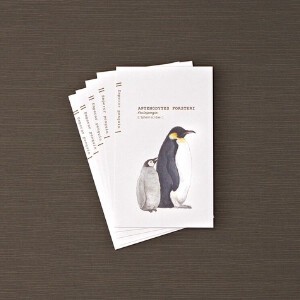 コウテイペンギンの名刺メッセージカード