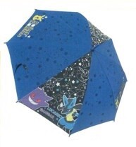 Umbrella Pocket black