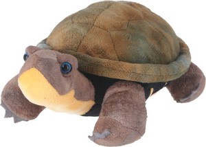Animal/Fish Plushie/Doll Turtle M Plushie