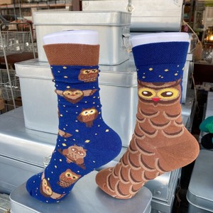Crew Socks Owl Socks 2023 New