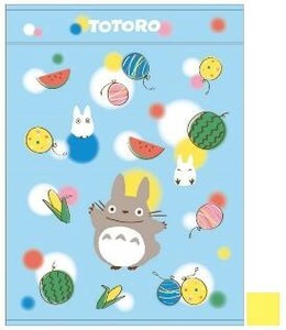 Summer Blanket TOTORO Character My Neighbor Totoro