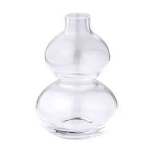 Flower Vase Spice Clear