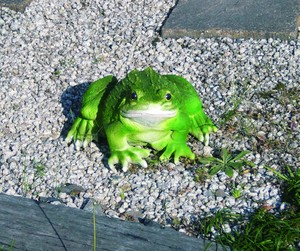 Animal Ornament Frog