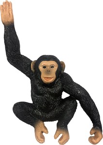 AF　マグネット　チンパンジー