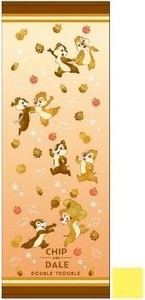Sports Towel Character Bath Towel Chip 'n Dale Limited