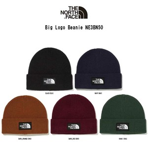 THE NORTH FACE(ザノースフェイス)ニット帽 ビーニー キャップ スポーツ Big Logo Beanie NE3BN50