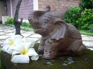 おねだりパオーン 象 ストーンオブジェ 動物 彫刻 石像