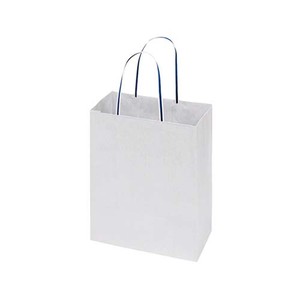 Paper Hand Bag PC151