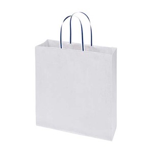 Paper Hand Bag PC153