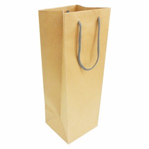 General Carrier Paper Bag Gift