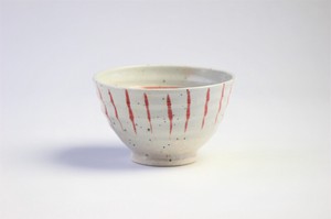 Shigaraki ware Rice Bowl Red M Made in Japan