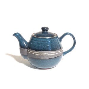 Mino ware Teapot with Tea Strainer Takumi-no-waza Made in Japan