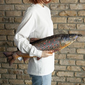 DULTON (ダルトン) フィッシーズ ブラウン トラウト FISHES BROWN TROUT 70 [Y-0510]