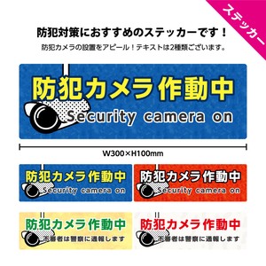 Security Camera Sticker