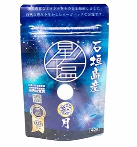 塩 天然 無添加 星塩 40g 石垣島の天日塩 調味料 日本製