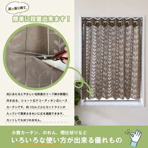 Lace Curtain Brown M Made in Japan