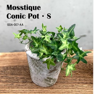 ◆アビテ◆自然で味わいのある雰囲気のある植木鉢シリーズ【モスティーク・コニックポット・S】