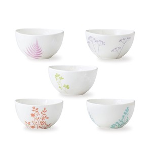 Donburi Bowl Donburi Tableware Gift Set Set of 5