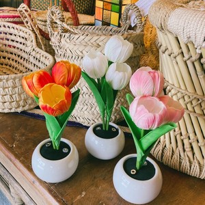 Table Light Tulips 3-colors 2023 New