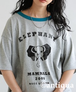 [アンティカ]アニマル カレッジロゴ Tシャツ レディース トップス 綿 AMA-00008 【AW】