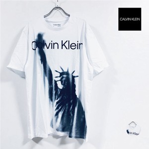 Calvin Klein カルバンクライン SS STATUE LOGO CREWNECK TEE 半袖 Tシャツ 40JM916 メンズ