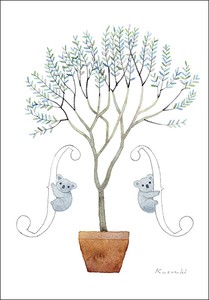 ポストカード イラスト 山田和明「オリーブの樹に聞いてみる」105×150mm コアラ 動物 2023新作