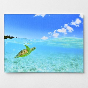 サマー3Dポストカード★人気商品■レンチキュラー製法により立体的に見える ■透き通った海を泳ぐウミガメ