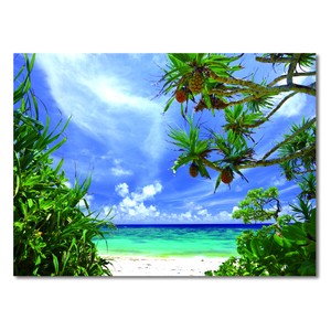サマー3Dポストカード■レンチキュラー製法により立体的に見える■浜辺のアダン