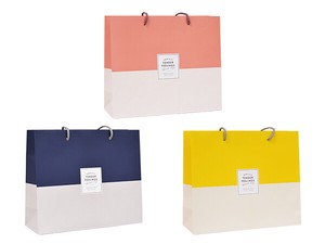 General Carrier Paper Bag Design 12-pcs