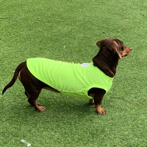 Dog Clothes T-Shirt Spring/Summer L