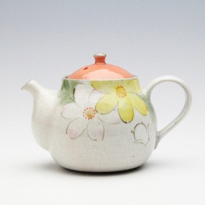 Teapot Limited