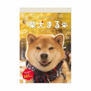 【新日本カレンダー】カレンダー 2024 柴犬まるのおしゃべり週めくり   NK4308