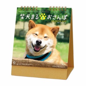 【新日本カレンダー】カレンダー 2024 卓上カレンダー　柴犬まるとおさんぽ   NK8529