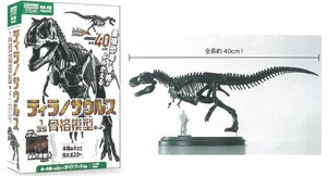 【おうち時間】【工作キット】ティラノサウルス骨格模型＆ポスター　Q750763