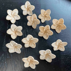 Relaxation Item Plumeria Set of 20 Size L