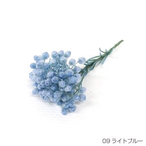 即納 ライスフラワー（パステルシリーズ）ライトブルー  プリザーブドフラワー 花材 小さい花 水色 青色