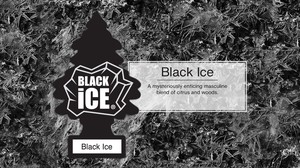 リトルツリー エアーフレッシュナー Black Ice（ブラックアイス）