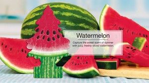 リトルツリー エアーフレッシュナー Watermelon（ウォーターメロン）