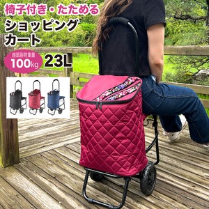 Suitcase Lightweight Large Capacity Small Case