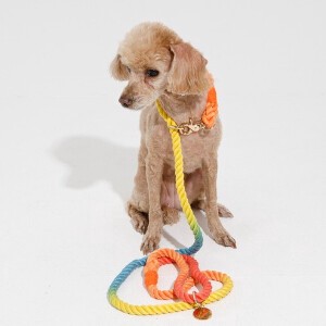 Dog/Cat Leash 10-colors