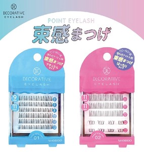 Eye Makeup/Fake Lashes 2-types