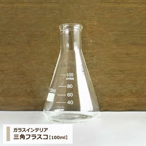 ガラスインテリア 【 三角フラスコ：100ml 】花瓶　フラワーベース