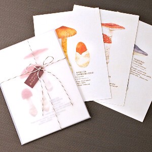 Postcard Mushrooms 3-types