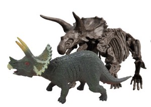 【恐竜】【夏休み】【自由研究】発掘恐竜スケルトンキット　トリケラトプス　602-B