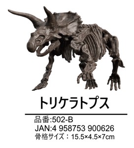 【恐竜】【夏休み】【自由研究】恐竜スケルトンキット　トリケラトプス　502-B