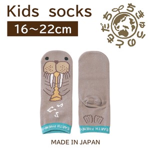 日本製　靴下【1P】キッズソックス【セイウチ】